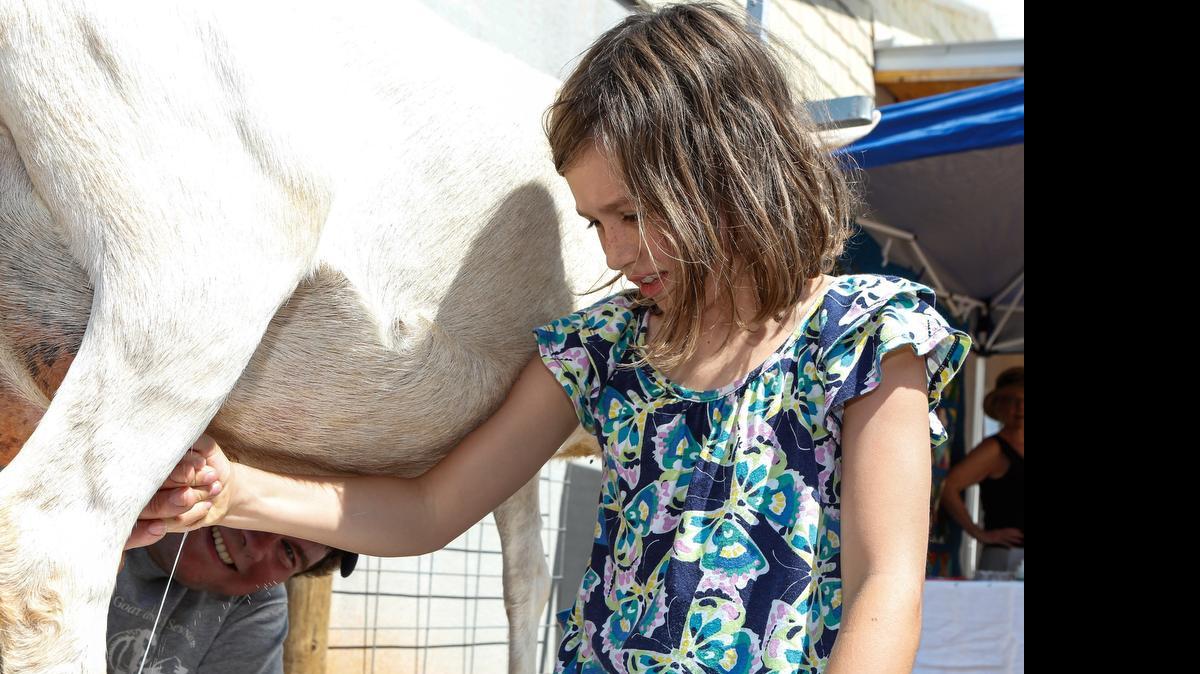 
Dave Cole shows 10 year old Hannah Cantrell of Rock Hill how to milk a goat at Fishing Creek Creamery of Chester County at last year’s Catawba Regional Ag + Art Tour.
