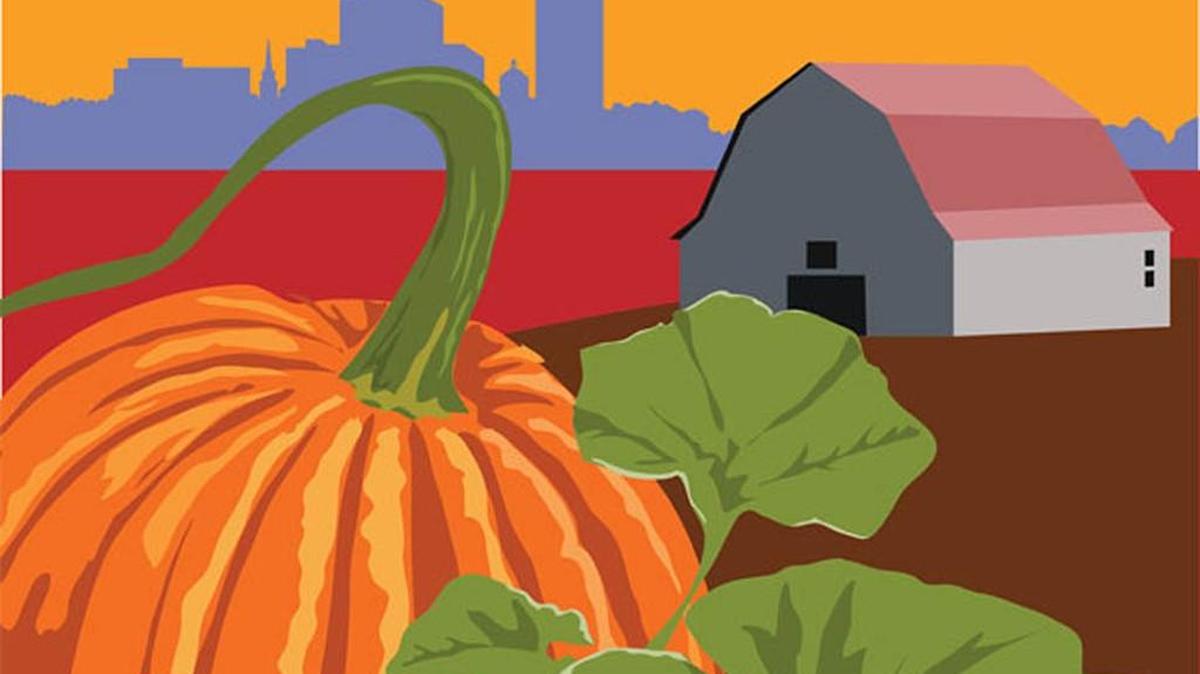 Get a taste of fall at area festivals and events.