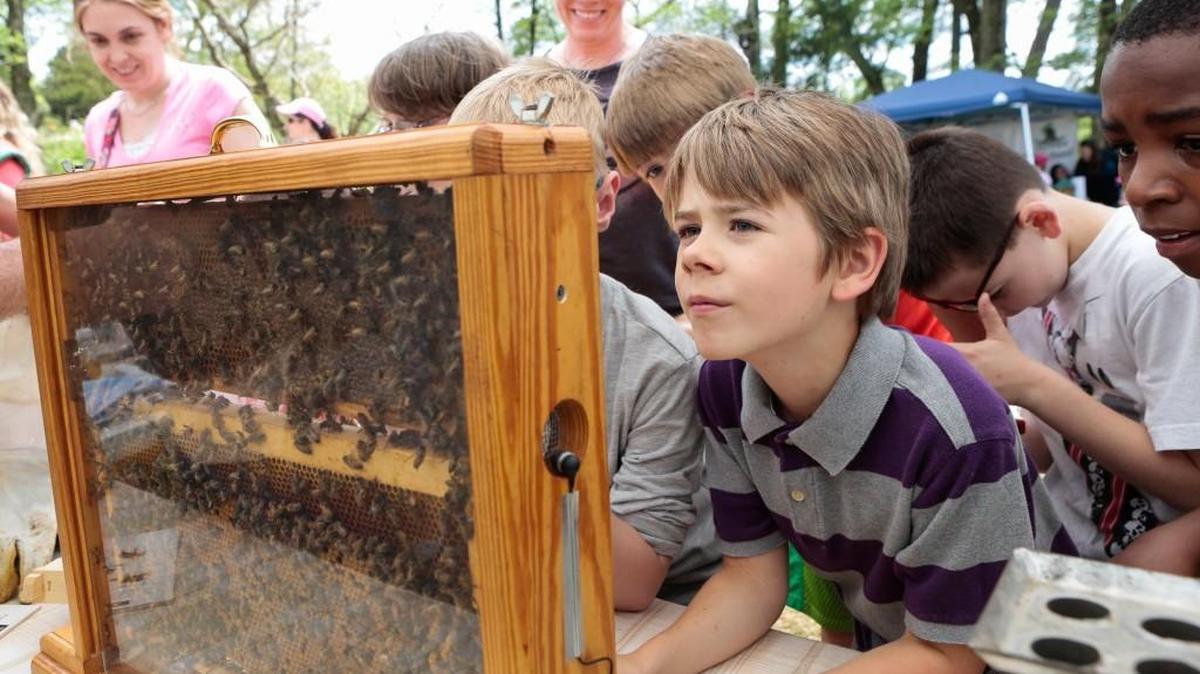 
“Take a Child Outside Week” will be this weekend in York County.
