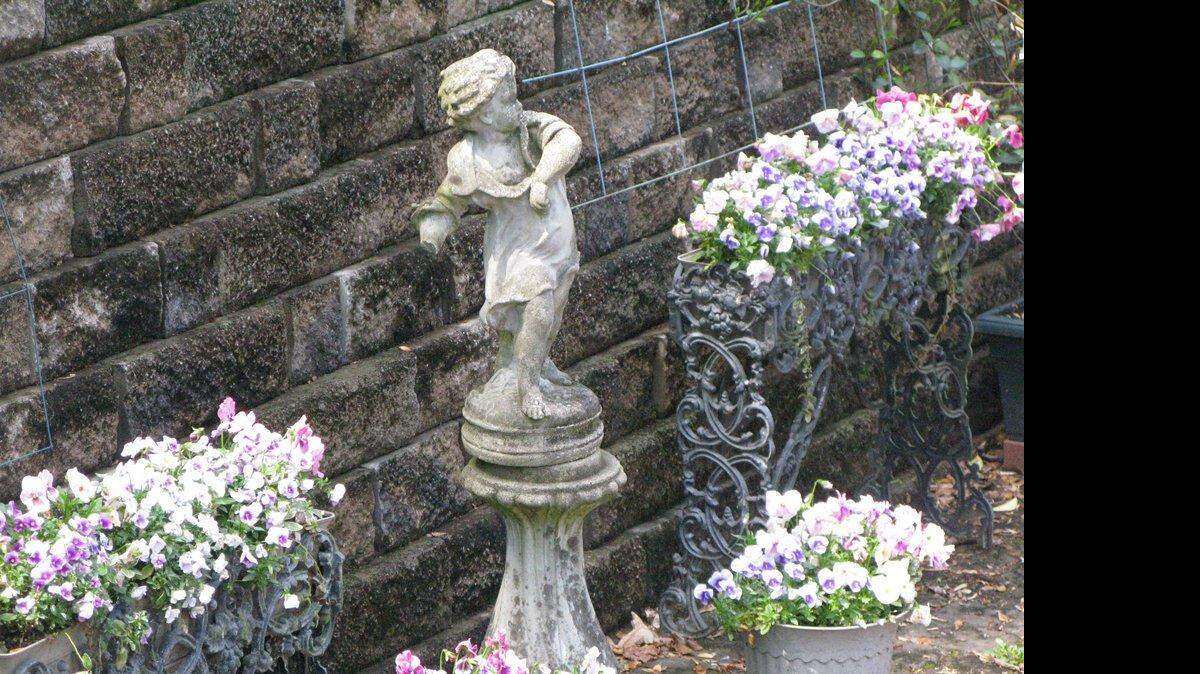 
The Master Gardener Home Tour and plant sale is this weekend. 
