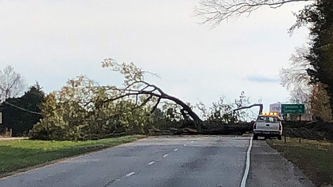 Massive tree falls in busy Lancaster Co. SC intersection | Rock Hill Herald