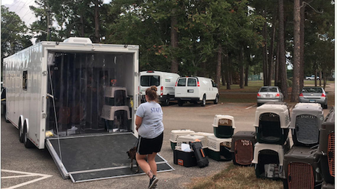 Volunteers helped load up animals from the Grand Strand Humane Society before Hurricane Florence hits land.