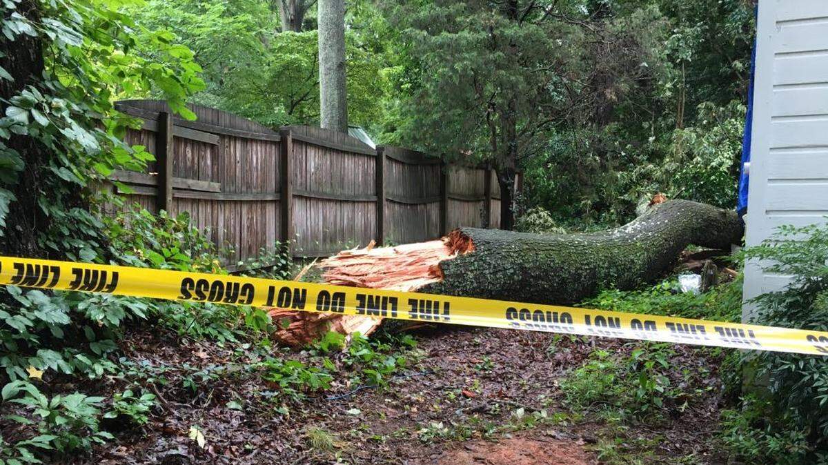 A tree fell on a Fort Mill home, crushing a bedroom but not causing injuries.