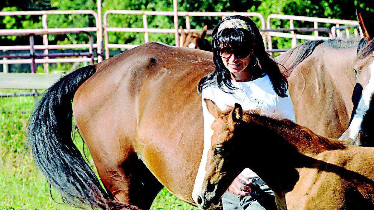 Katie Holme works with two of the horses, Ginger and Lakota Merry Lakes, under her care at Healing Horses.