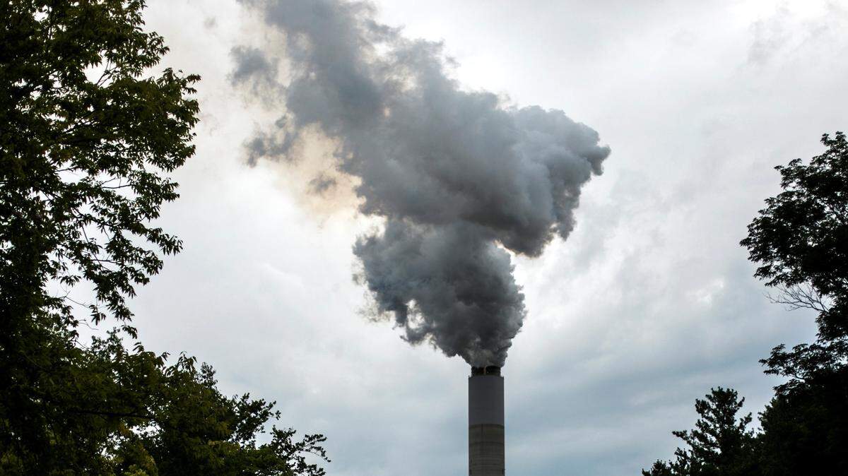 Emissions from paper mills contribute to the poor air quality in central and southern Georgia.