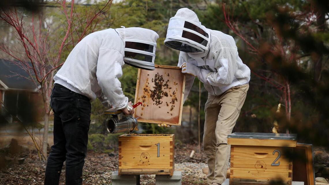How a Rock Hill business is trying to save the food supply one bee hive at a time