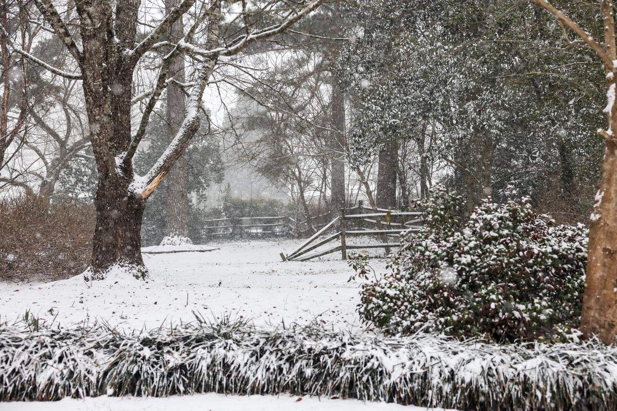 Snow covers Rock Hill, SC as snow falls over the Carolinas on Saturday, January 31, 2026.