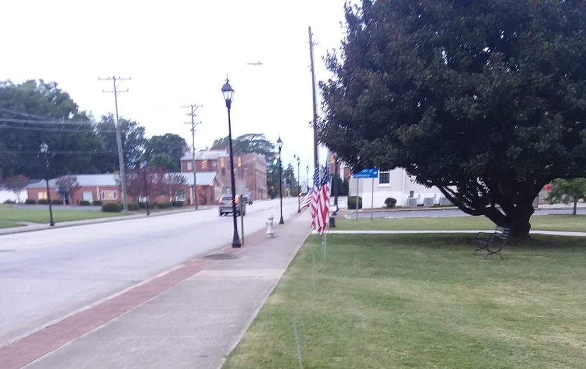 Some of the American flags set up in York for Purple Heart Day at a veterans park in downtown were reported stolen.