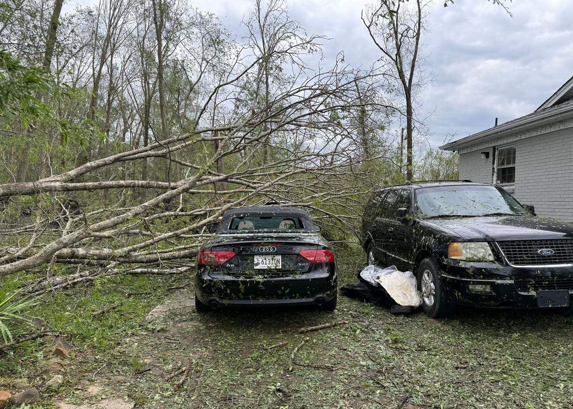 Crews are busy removing uprooted trees and branches along Ogden Road in Rock Hill Monday morning. Several homes in the neighborhood have downed trees and power lines