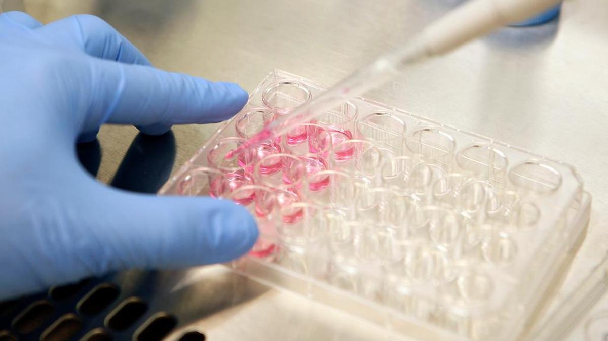 In 2001, President Bush restricted the use of federal funding for embryonic stem cell research. Today, at least seven states offer stem cell research funding or other incentives to local scientists and industry.