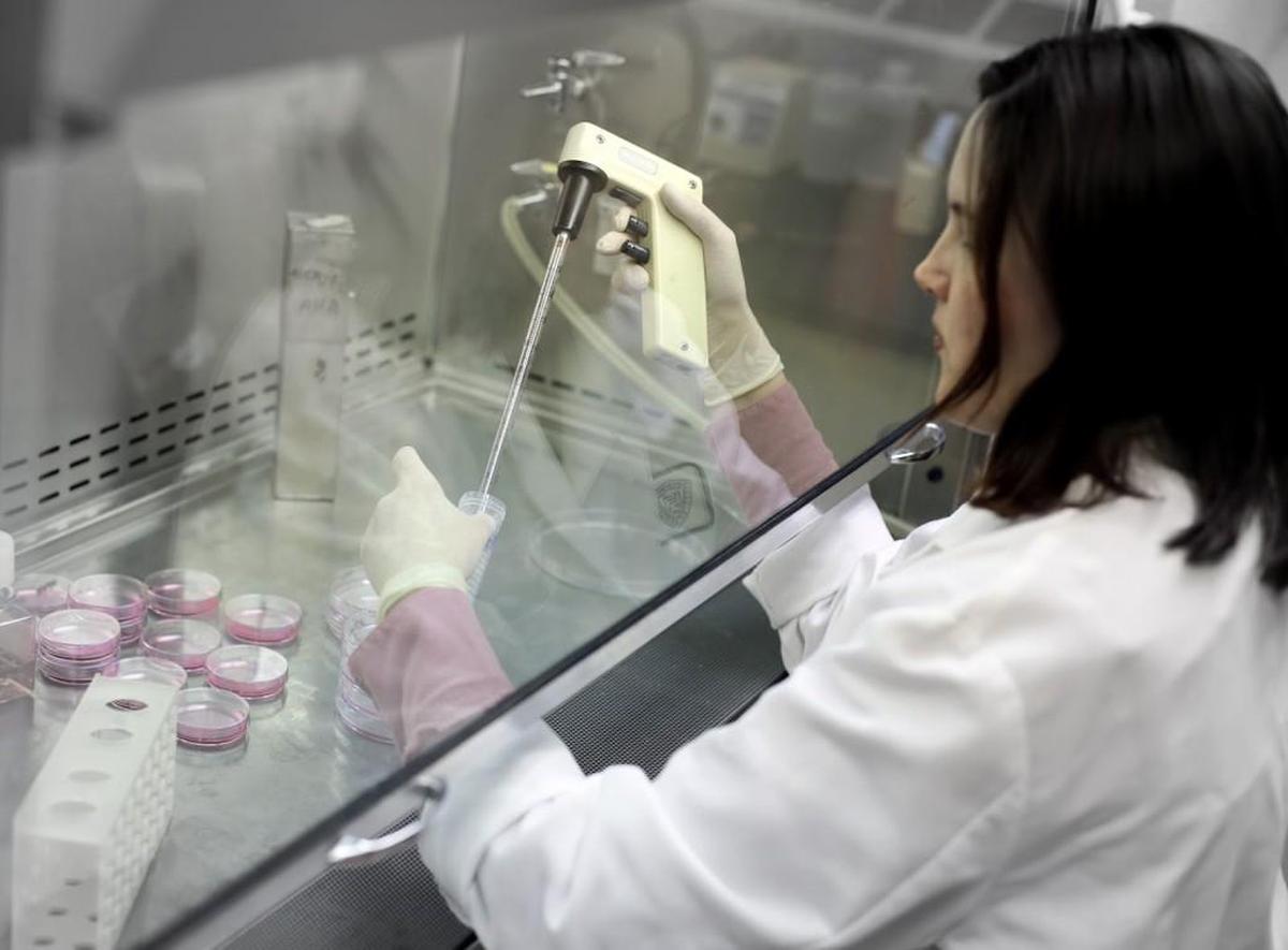 State initiatives have not yet produced the eagerly anticipated “cures” for conditions such as melanoma or Parkinson’s disease. But as an engine for generating economic development and jobs, and as a mechanism for enhancing local scientific prestige, stem cell research for many states appears to be worth the investment.