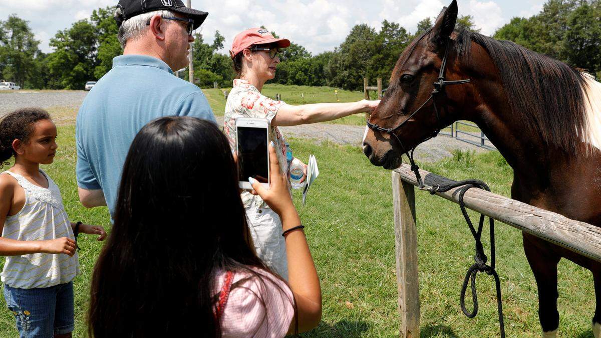 In this file photo, the Whitaker family pets a horse at Anne Close Springs Greenway in Fort Mill during the annual South Carolina Ag+Art Tour.