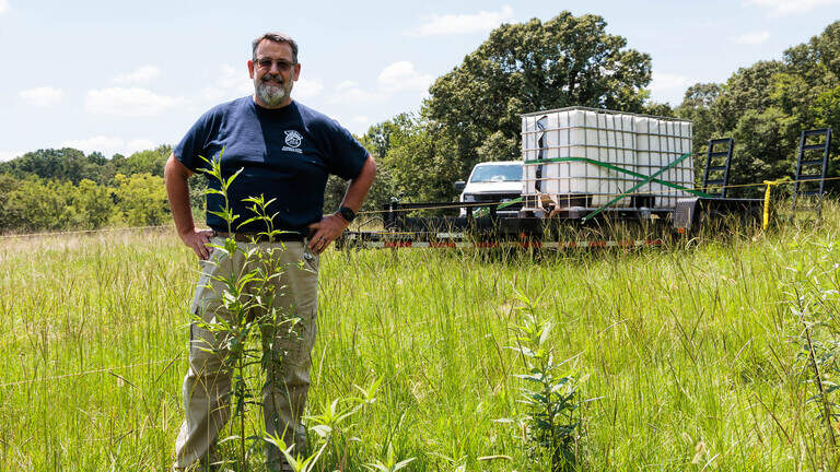 ‘An amazing plant’: How a York County parks worker saved hundreds of rare sunflowers