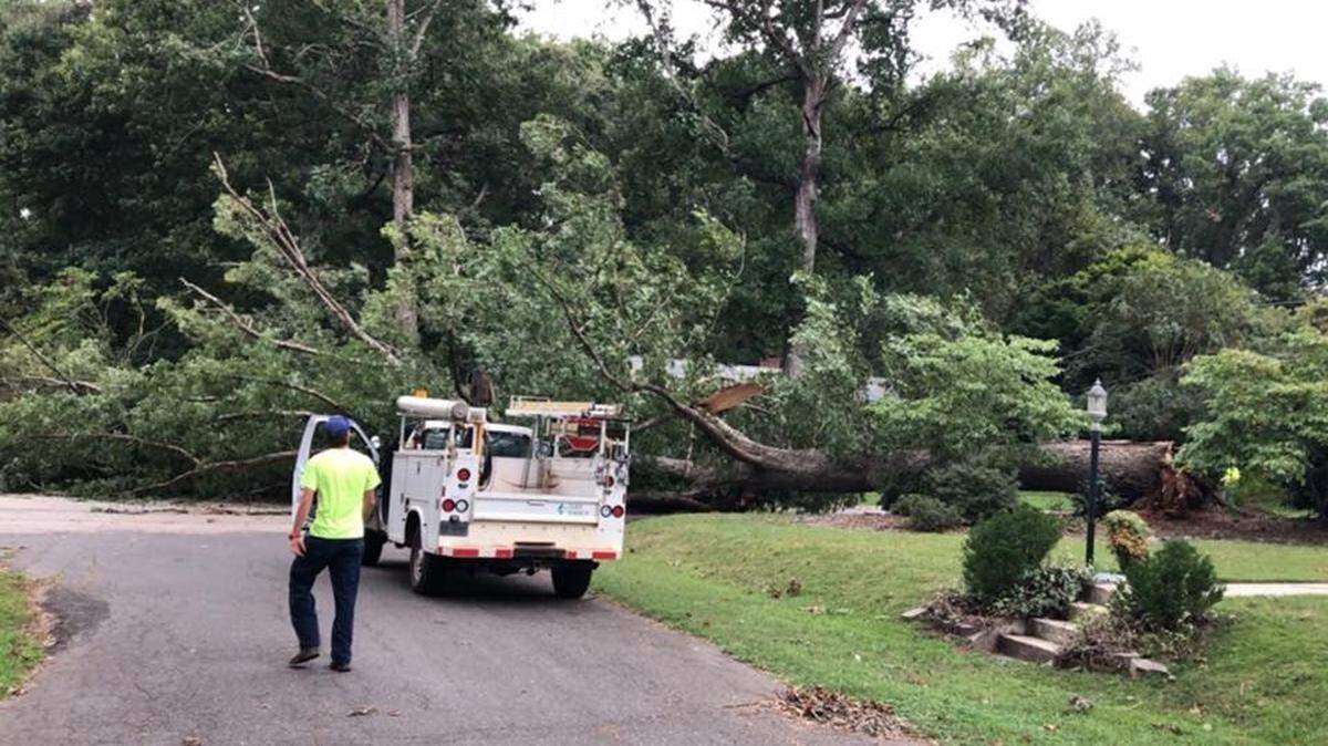 A tree was downed by Hurricane Florence in Fort Mill. The York County Sheriff’s Office is urging caution with downed trees and power lines from the storm.