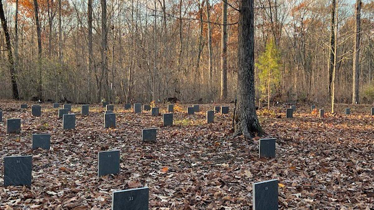 More than a hundred graves belonging to enslaved people were found on a property in York County. The owners are planning to share the discovery during a ceremony in February.