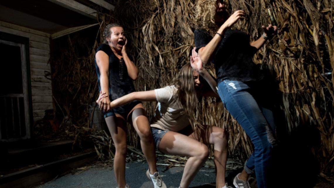 Carowinds, Renaissance Festival cancel events over weather and safety concerns