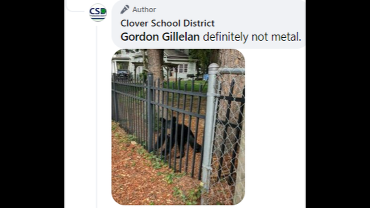 The black bear was seen near Kinard Elementary School’s playground in Clover, South Carolina that is south of the North Carolina state line, police said.
