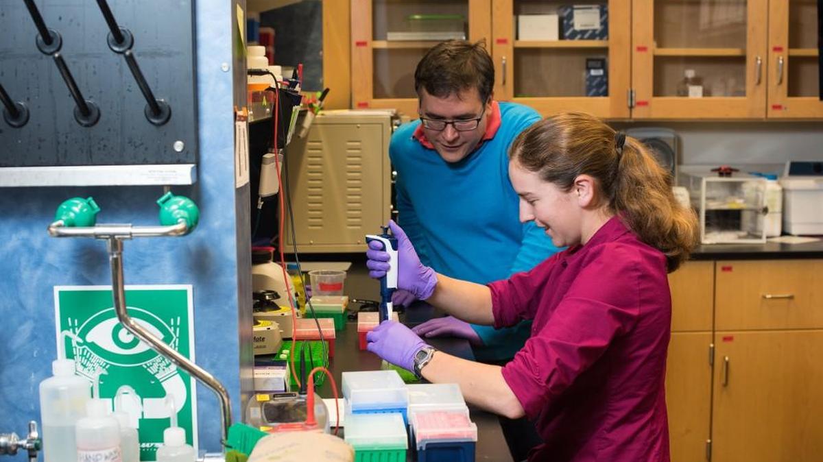 Luis Ceze, University of Washington computer science and engineering professor, and research scientist Lee Organick prepare DNA containing digital data for sequencing, which allows them to retrieve the original files.