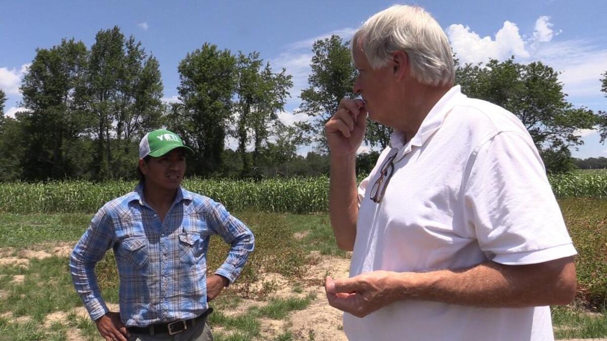 Eufren Ninancuro, left, and Glenn Roberts, founder of the Carolina Gold Rice Foundation, talk about the seed crops at Jatun Killa Farm in Eastover.