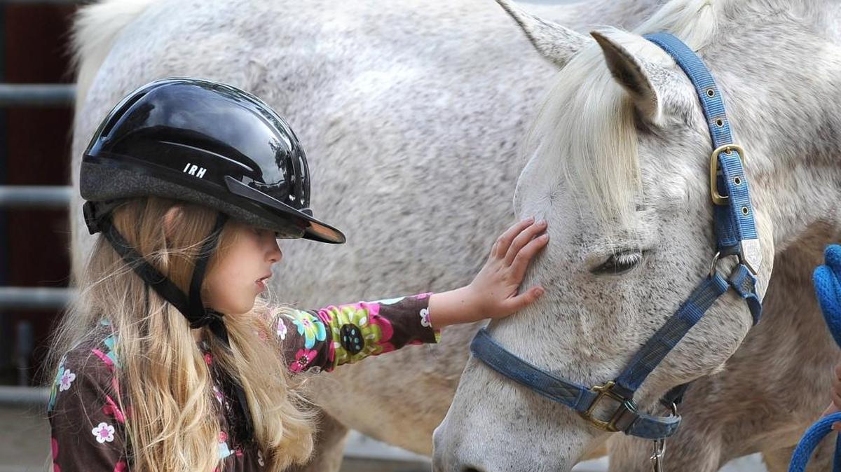 Strides of Strength Therapeutic Riding will host its first annual Open Horse Show benefit Nov. 19 at Gaston Farm Road Equestrian Center, Chester.