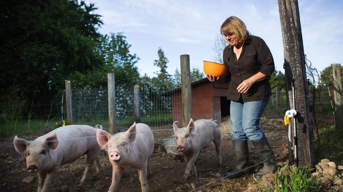 Melissa Tatro feeds her three pigs at her small farm in Kent, Wash. Keeping the farm, which she and her former husband purchased in 2014, could jeopardize her ability to save for retirement. The dilemma convinced her to seek financial advice.