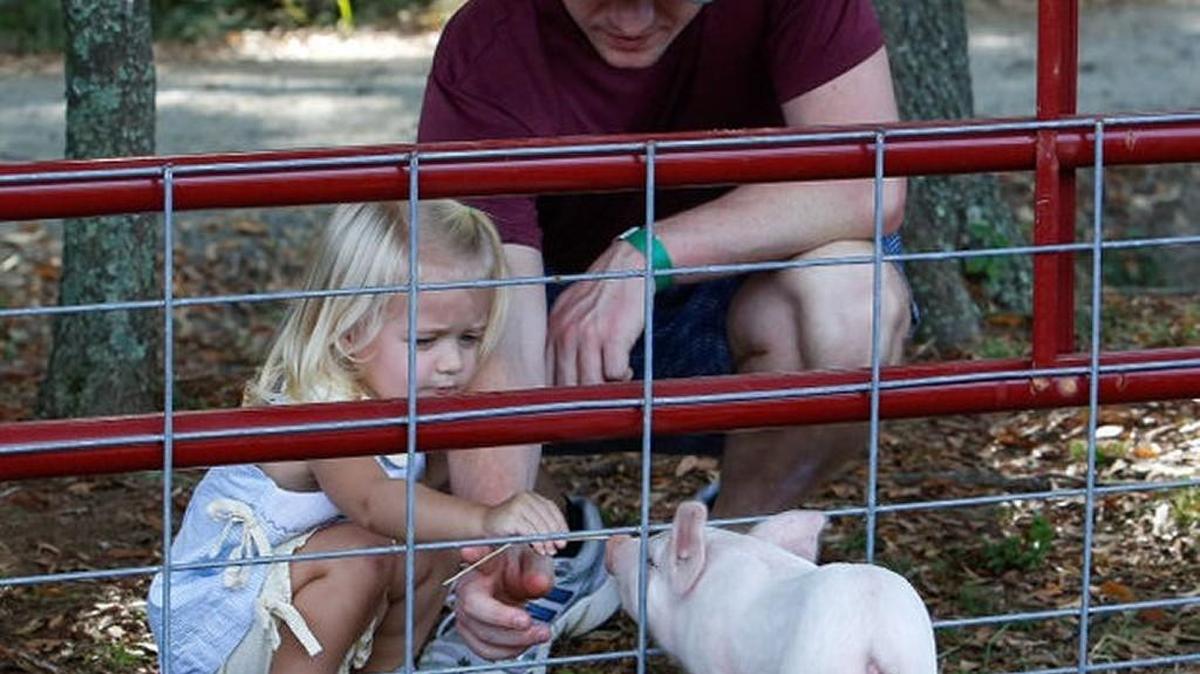 Children can visit the petting zoo among other activities each weekend, Sept. 30-Oct. 29, at the Fall Frolic on the Anne Springs Close Greenway in Fort Mill.