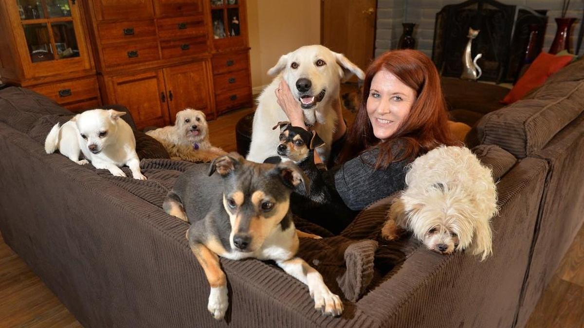 Laura Gordon with some of her own dogs – Nicki Sixx, Beau, Randy Rhodes, Elsa, Luke Skywalker and Belle – at home in Madera, Calif. Gordon helps save dogs by writing about them through their eyes. Her colorful stories have attracted a following on the Facebook page for Labrador Retriever Rescue of Fresno.