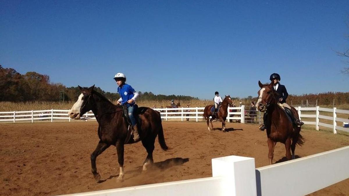 Anne Springs Close Greenway’s fall horse show will be Saturday at the greenway. The event features 40 categories with participants of all skill levels.