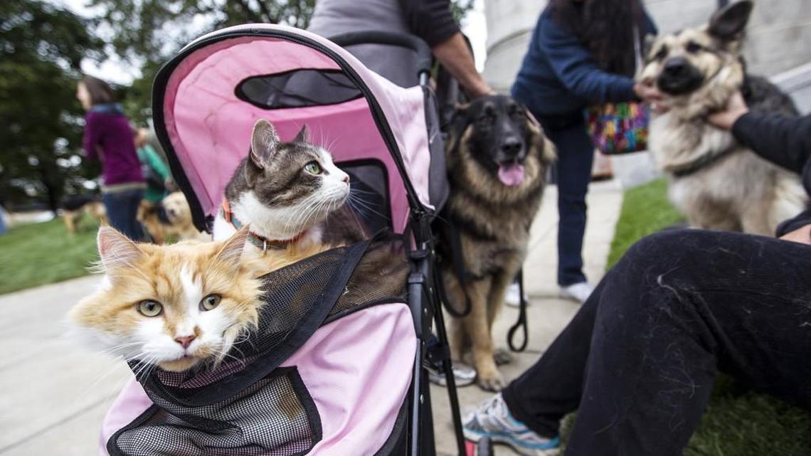 Church events in York, Chester, Lancaster counties: Saturday, July 23