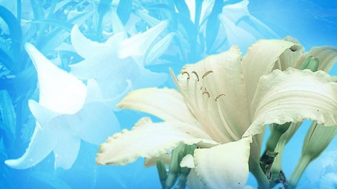 Faith events in York, Chester, Lancaster counties