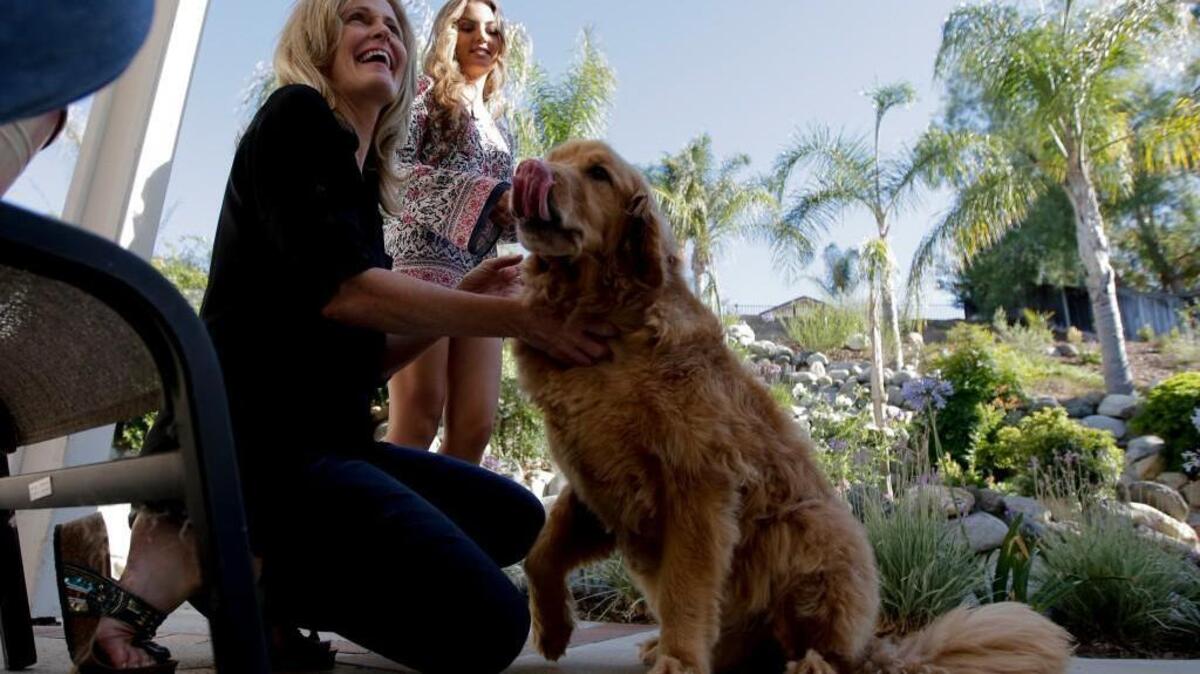 
Jill Rosales talks about student debt with her dog and daughter in the back yard of their home in Temecula, Calif. Each month, $1,500 is deducted from the family bank account for student loans. It’s more than the mortgage. The withdrawals include about $500 a month to repay her husband Ernie’s college and grad school debt – debt that felt unavoidable if he wanted to provide enough for his family.
