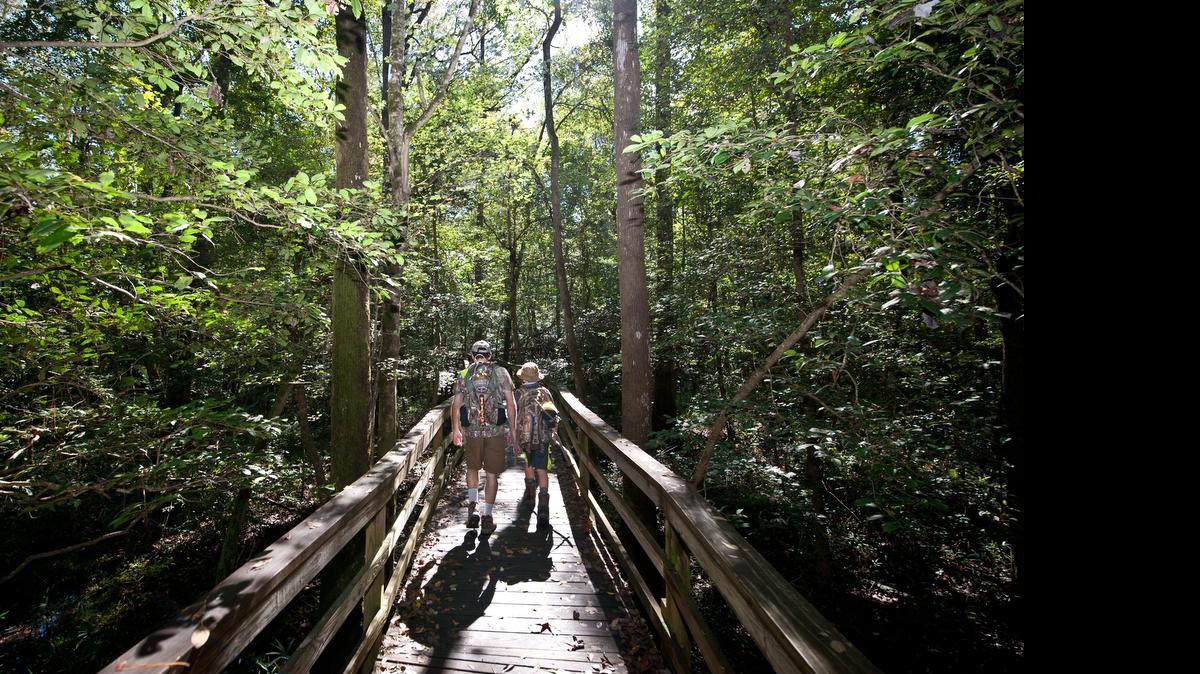 
Hiking the boardwalk at Congaree National Park in Lower Richland. 
