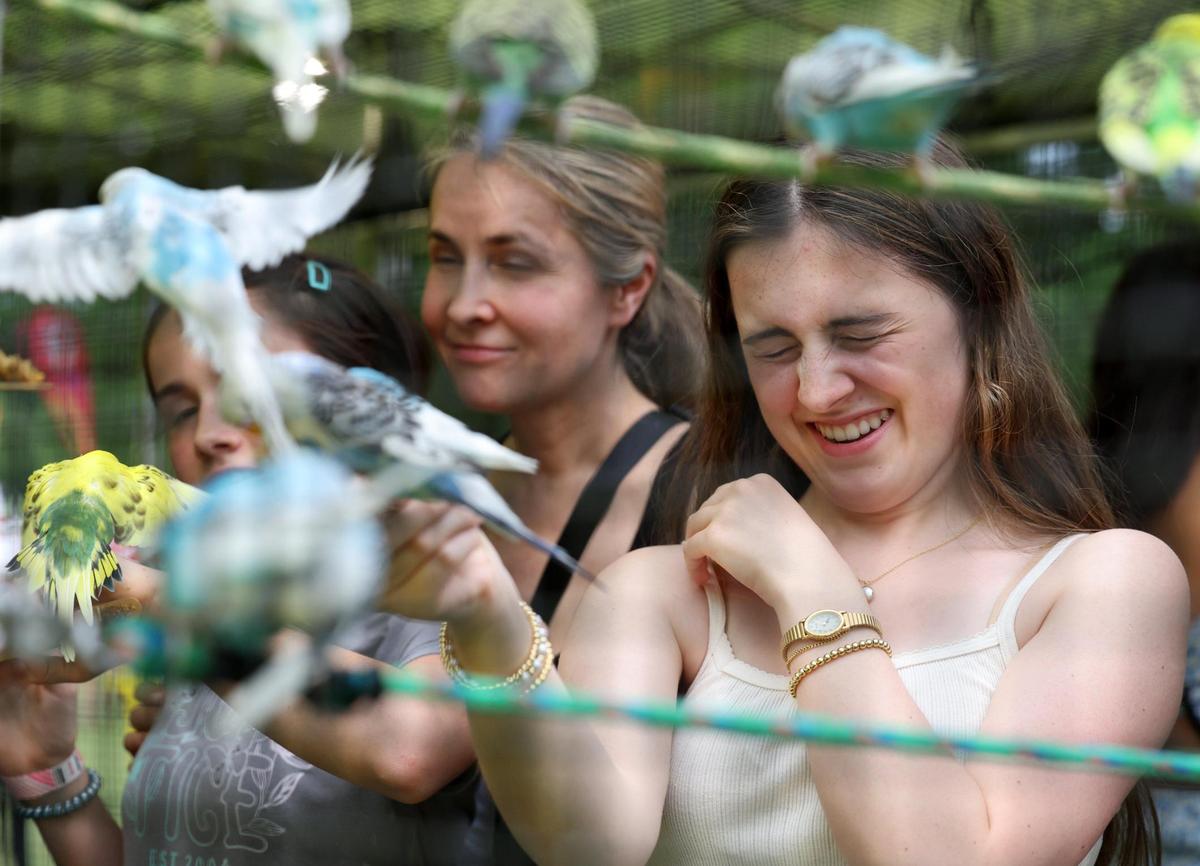 A girl reacts as a bird flutters near her face Friday, May 2, 2025, at Fort Mill’s Strawberry Festival at the Pretty Bird Paradise exhibit.