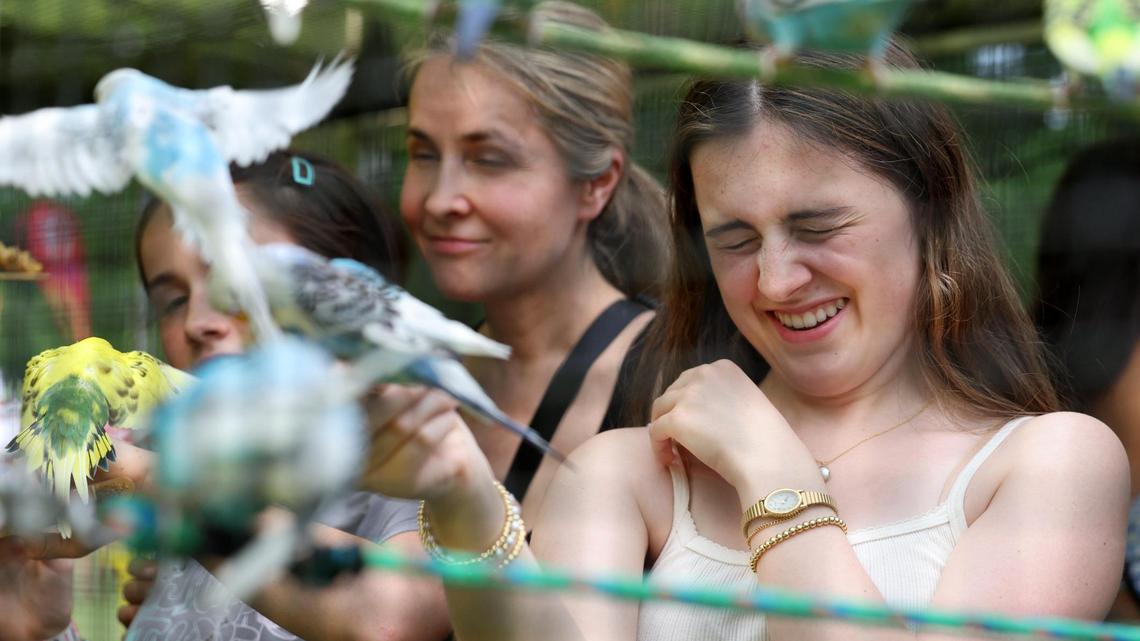 Journalists at The Herald honored in S.C. Press Association awards