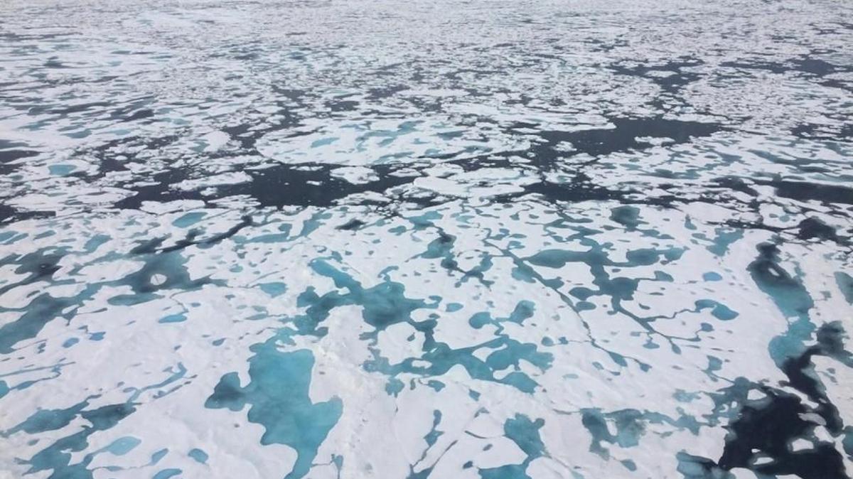 A collage of melting sea ice in the Kane Basin between Greenland and Canada’s Ellesmere Island.