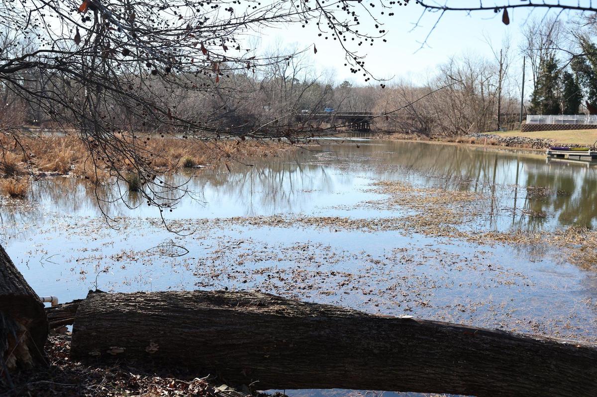 Decades of silt and sediment have formed along Crowders Creek on Lake Wylie near the property of Ed Lindsey. Lindsey said he would like to have the lake dredged.