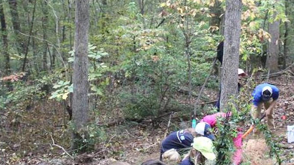 
Volunteers from Domtar clean debris and trash from the Anne Springs Close Greenway in Fort Mill. The company’s volunteer work recently won it the Mayor’s International Community Award for charitable contributions in the greater Charlotte area.

