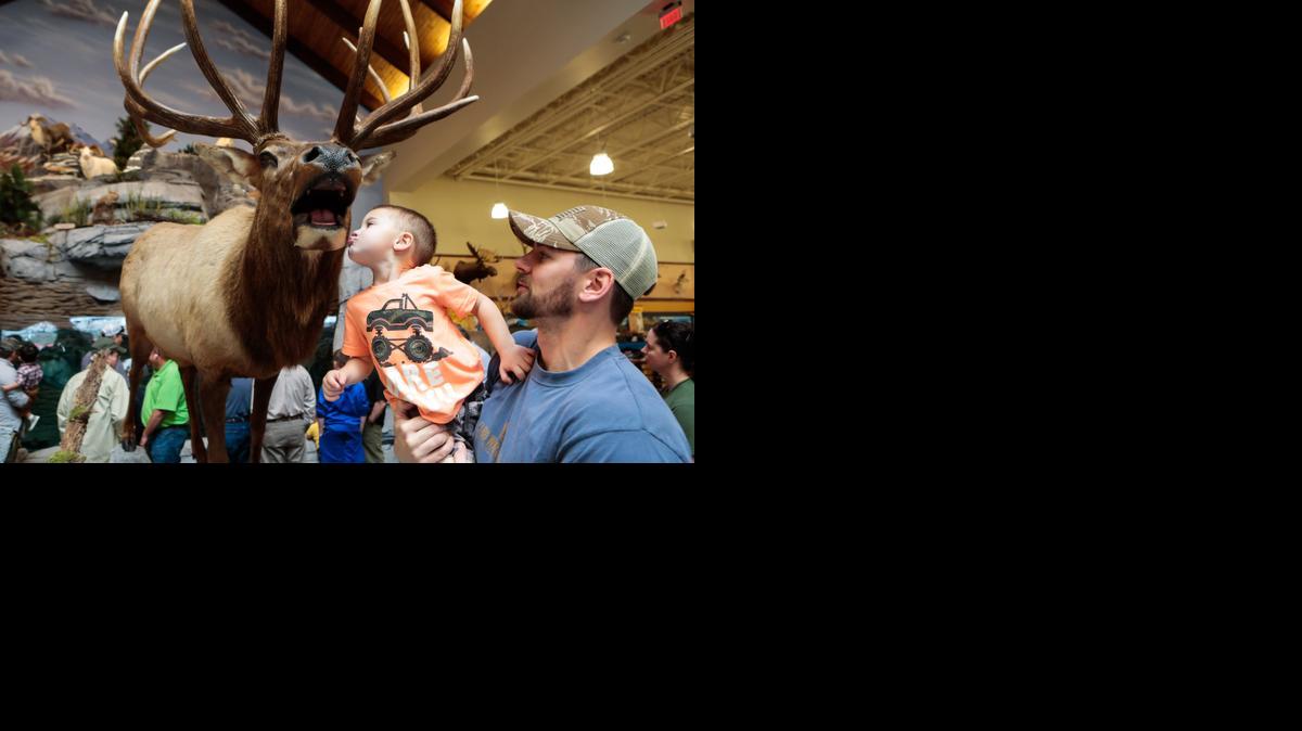 
Aiden Banfield kisses an elk as Cabela's holds the grand opening of its new Fort Mill Thursday.
