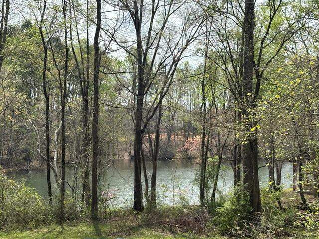Nims Lake, largely wooded around the outside and on private property, was once a popular community swimming hole in Fort Mill. Development is proposed on Nims Lake Road, not far from the site.