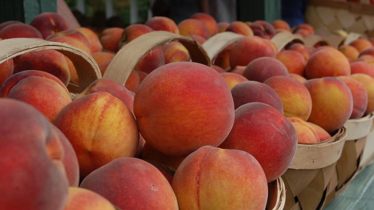 
Baskets of August Lady peaches line the front of the Peach Stand near Fort Mill. 
