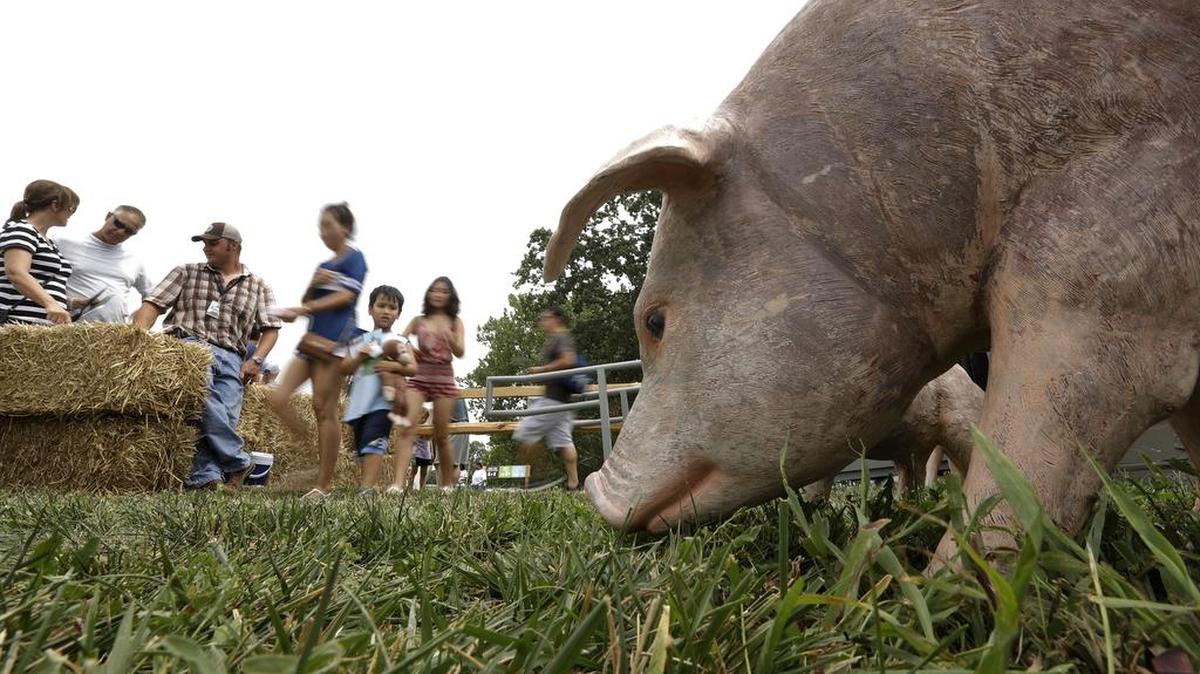 People view a display contrasting different pig-raising operations at Chipotle’s Cultivate Festival in Kansas City, Mo. Cultivate festivals encapsulate the food industry’s hottest marketing trend: crusading against Big Food.