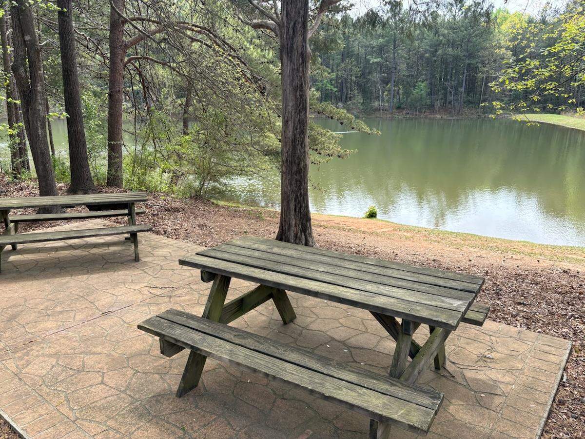 A community pond at Spring Branch Glen, slightly larger than Nims Lake, is beside an area of woods that are up for redevelopment in Fort Mill.