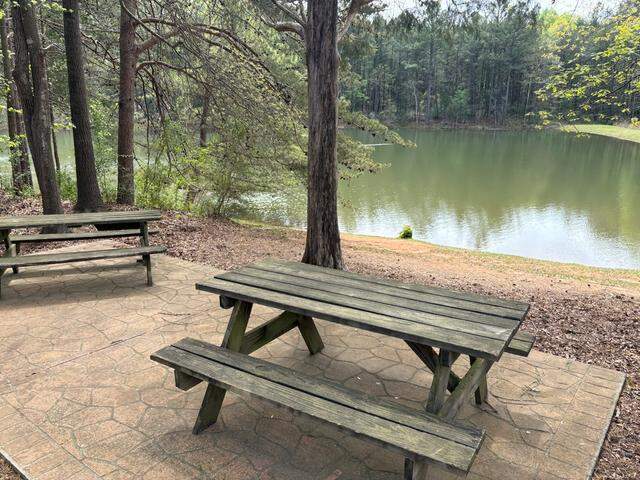 A community pond at Spring Branch Glen, slightly larger than Nims Lake, is beside an area of woods that are up for redevelopment in Fort Mill.