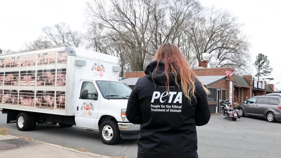 PETA protest squeals into SC barbecue restaurant to confused Rock Hill response