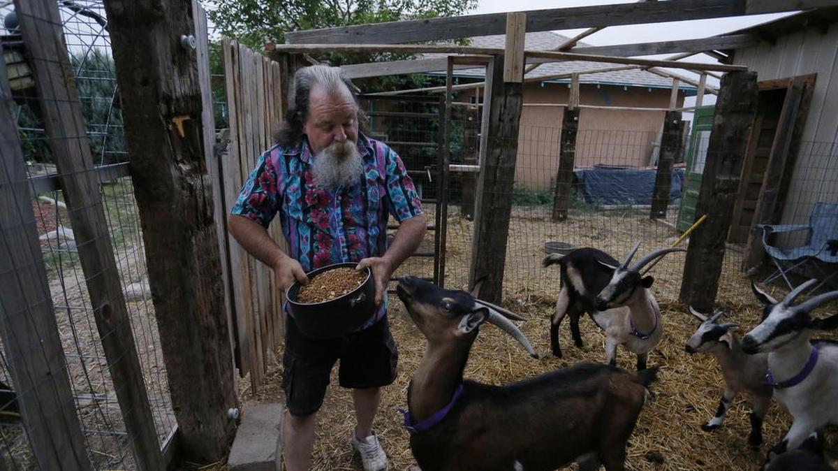 Bill Hendren tends to goats on the property of a landowner who is allowing him to stay rent-free for a year in exchange for work, outside Manzanola, Colo. Otero County and other far-flung rural areas face an uphill battle against geography. Economic development officials say businesses increasingly relocate to areas close to international airports, putting far-flung parts of the country at a natural disadvantage.