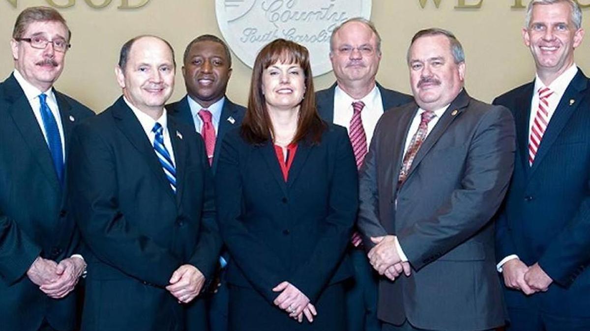 Members of the York County Council, from left, Britt Blackwell, Bruce Henderson, Bump Roddey, Christi Cox, Chad Williams, Robert Winkler and Michael Johnson.