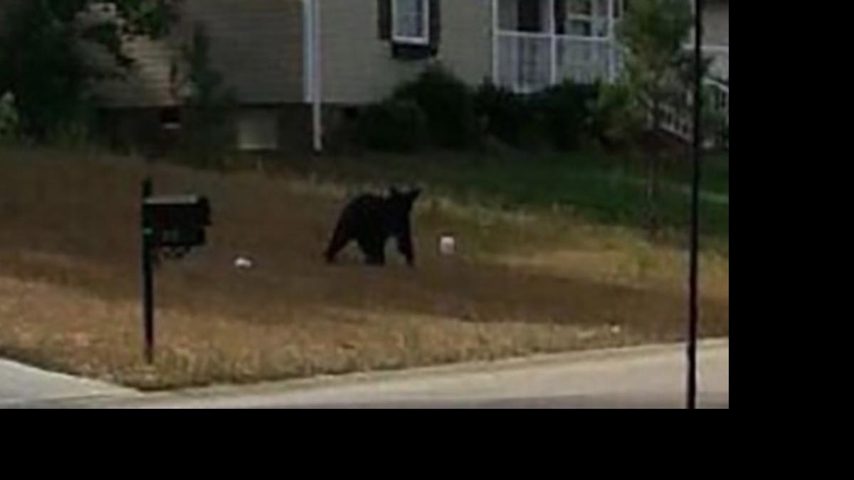 
courtesy of Clover Police Dept.

