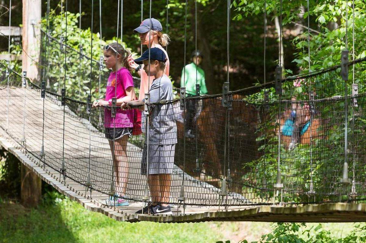 Anne Springs Close Greenway in Fort Mill will host a variety of family friendly activities from April 22 to April 24 as part of it’s 3-day Earth Day event.