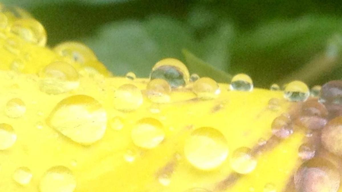 Rain is forecast for the York County area.