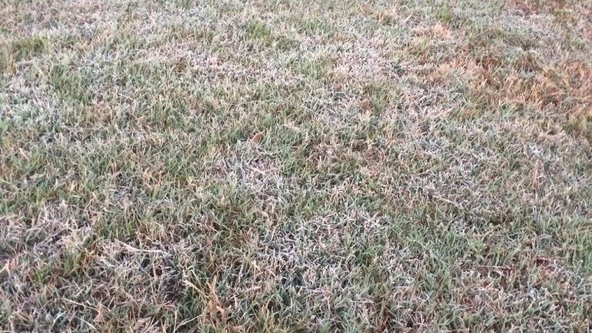 Some Rock Hill-area residents saw a slight dusting of frost on the ground early Wednesday when they went outside.